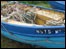 Souter to Whitburn  walk (image: Fishing boat)