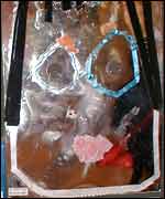 Schools art exhibition 