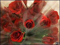 लाल गुलाब