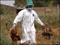 Funcionário do ministério da Saúde nigeriano leva galinhas mortas para incineração