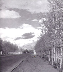 عکس از کتاب تهران قديم - محمود پاکزاد