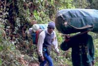 35 cilogram ar eu pennau