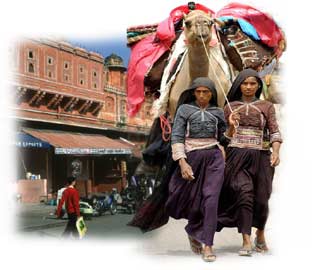 राजस्थान विधानसभा चुनाव