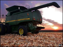 Lavoura de milho para produção de etanol nos EUA