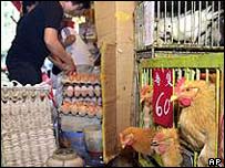 پولٹری کے قریب رہنے سے برڈ فلو ہو سکتا ہے۔ 