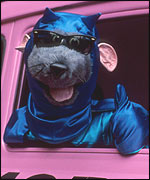 Roland Rat dressed as Batman in his Ratmobile