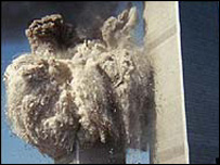 Нуфузли ал-қоидачи 11 сентябр ҳужумларига бошдан-оёқ масъул бўлганига иқрор бўлган