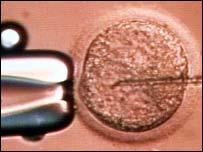 Tratamento de fertilidade