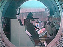 Macaco na cápsula Bion, no centro de estudos de Sochi