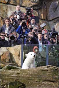 Fotógrafos testemunham primeira aparição pública de Knut