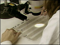 研究人员使用显微镜