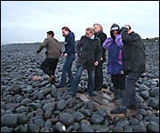 Some of the skimmers