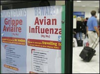 Kuş gribi uyarısı