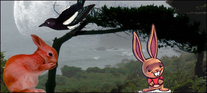 در جستجوی خوشبختی