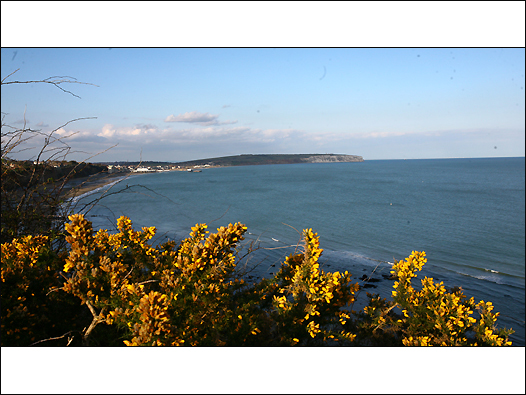 虽然从伦敦到怀特岛的路程只有两三个小时，但这个小岛却洋溢着截然不同的氛围。