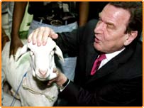 شروڈر کی بکری: عنوان تجویز کیجئے