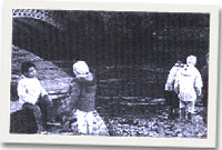 Rheolir Gwarchodfa Natur y Spinnies, Aberogewn gan wirfoddolwyr a staff Ymddiriedolaeth Natur Gogledd Cymru