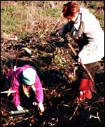 Sophie picking potatoes.