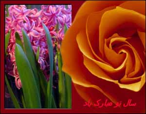 فاطمه مهجوريان