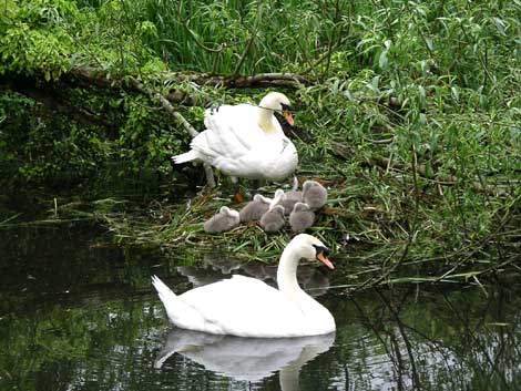 June 2006 image gallery