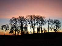 Dawn, Spain (detail) by Jo Halpin Jones.