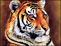 Tiger © Greg Harris