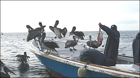 Fishermen in Galapagos