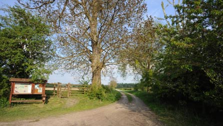 Maes Parcio'r warchodfa