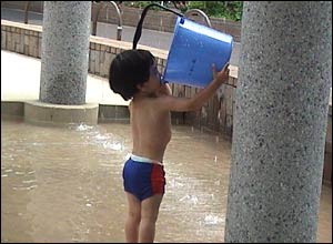 عکس از مژگان تاجبخش