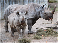Zuri side by side with her mum Sita