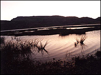 عکس از ليلا نژاد