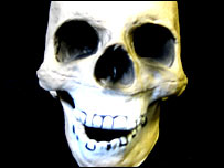 Skull