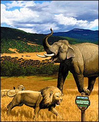 सिंह और हाथी