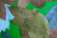 Enwau ar ddail y goeden