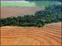 Desmatamento na Amazônia