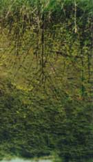 Lochnagar Crater today