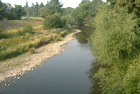 Afon Hafren