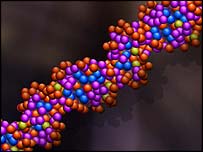 डीएनए संरचना