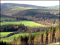 Ormanlar fazlasıyla derli toplu