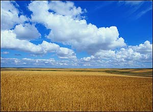 عکس از محمد بخشايی