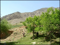 ميله ځايونه