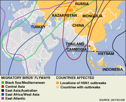 Bản đồ các khu vực có cúm gia cầm
