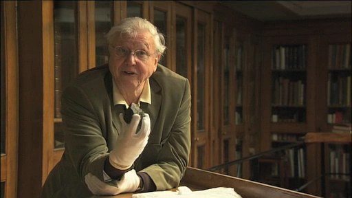 Video of Sir David Attenborough talking about this object