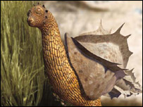 Imagem do "chupador-pulador" -  Crédito da foto: ©The Future is Wild Limited - Pictural Charts Educational Trust