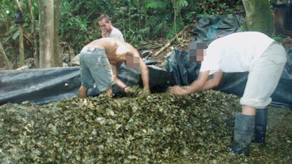 Bruce watches illegal cocaine workers