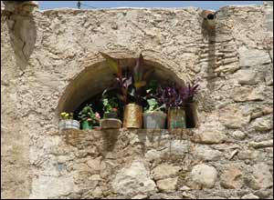 عکس از محمد رضا پاکباز