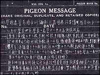 Güvercinlerin saldırılarda kullanılmalarına yönelik mesaj