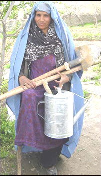 خانم معيوب اما با همت