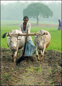 Fazendeiro em Bangladesh