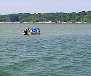 Neil Oliver standing within the harbour three quarters of a mile from land